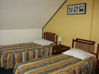 Отель Hotel Astra Брашов Двухместный номер с 2 отдельными кроватями-8