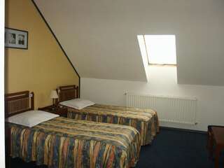 Отель Hotel Astra Брашов Двухместный номер с 2 отдельными кроватями-17